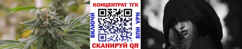 ТГК THC oil  где продают наркотики  Шагонар 