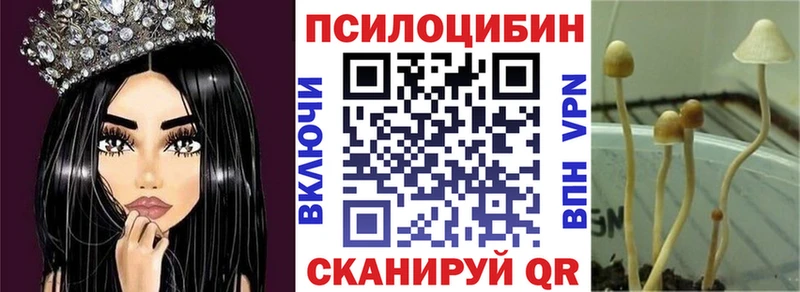 Галлюциногенные грибы Cubensis OMG как войти Шагонар хочу наркоту