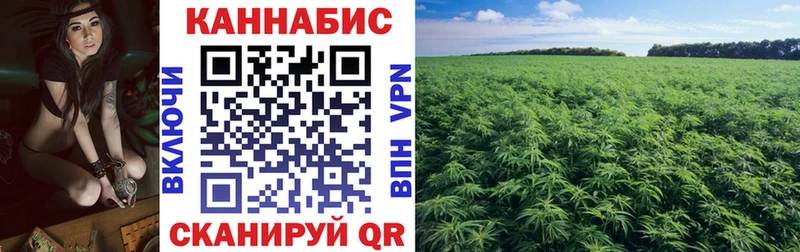 KRAKEN сайт  Шагонар  Канабис тримм 